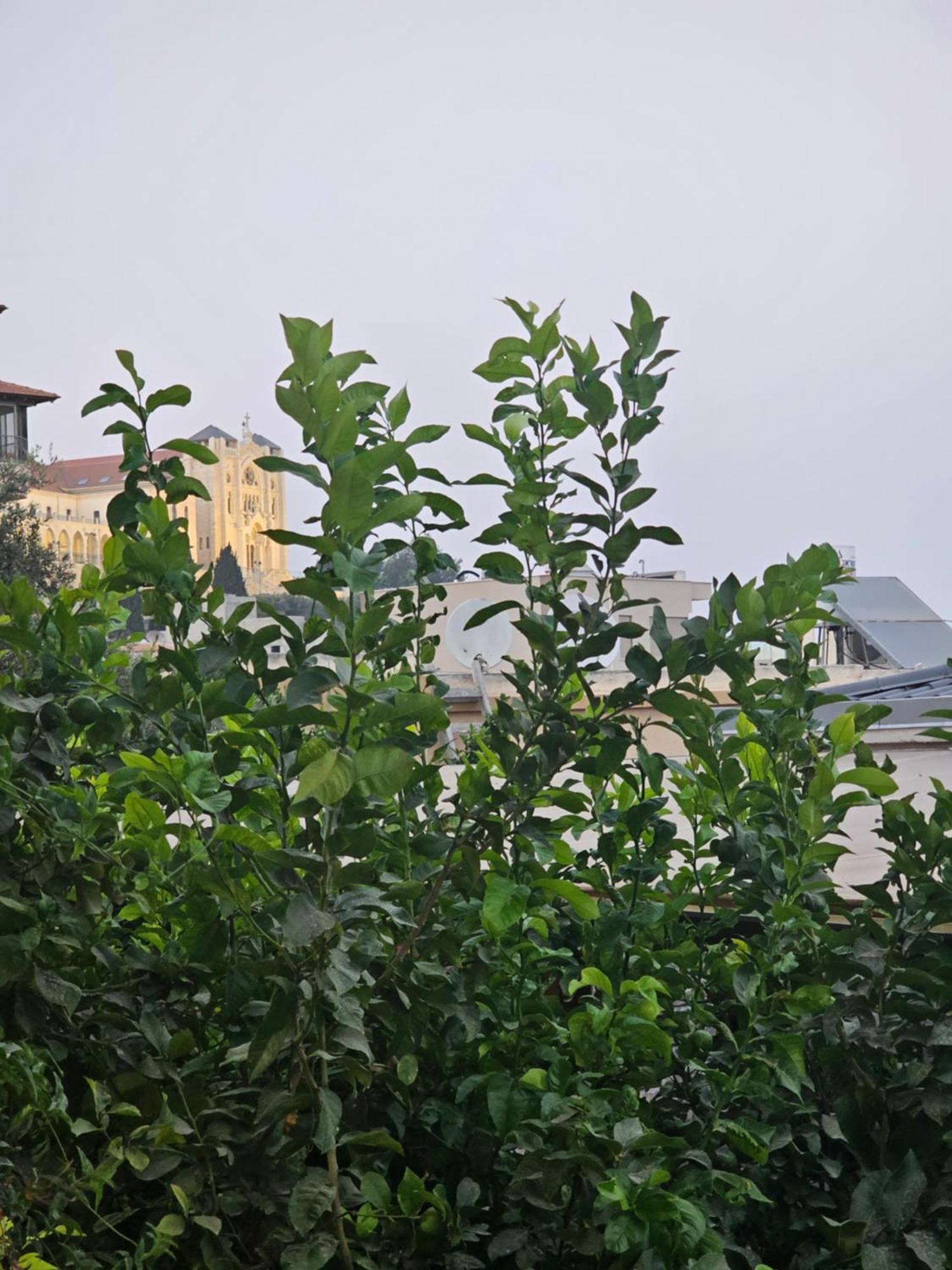 Maria'S Guesthouse - Uphill View Of Nazareth F Exterior photo